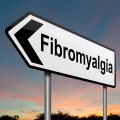 Fibromyalgia.jpg