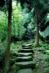 Path stone.jpg