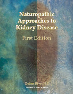 Naturopathic kidney rivet.jpg