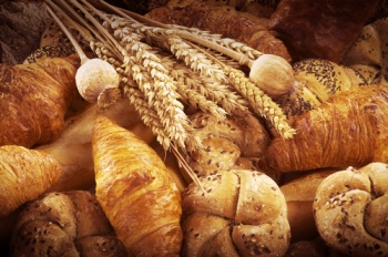 Bread wheat.jpg